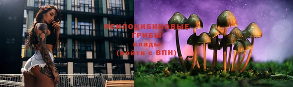 2c-b Алексеевка