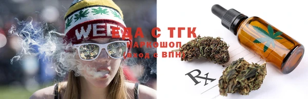 PSILOCYBIN Алзамай