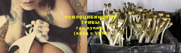 PSILOCYBIN Алзамай