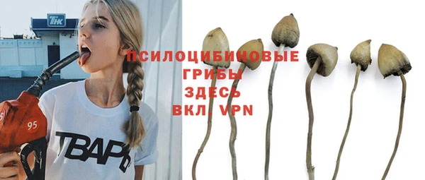 PSILOCYBIN Алзамай