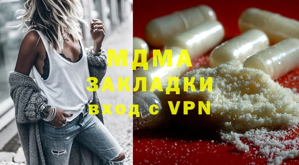 PSILOCYBIN Алзамай