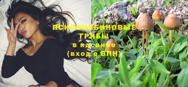 2c-b Алексеевка