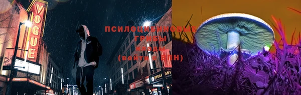 PSILOCYBIN Алзамай